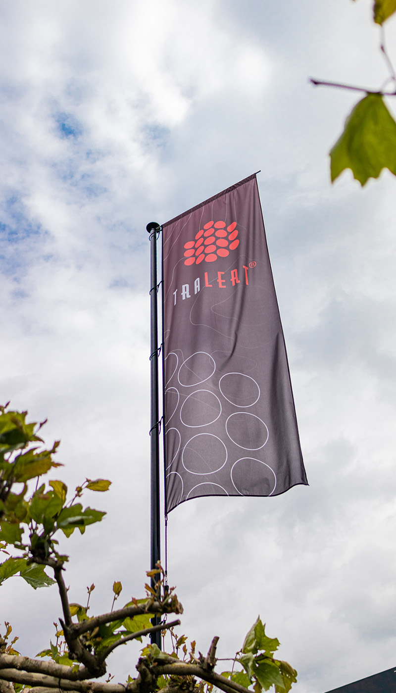 Hoge vlaggenmast met een donkere bedrijfsvlag voorzien van een logo, wapperend in de wind.