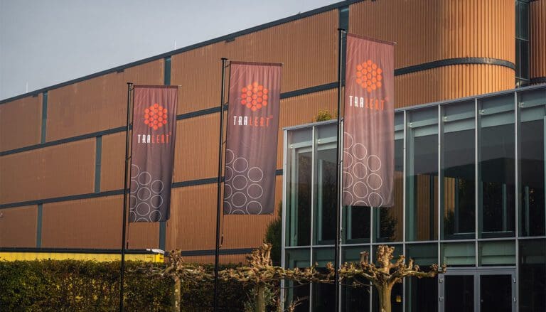 Meerdere bedrijfsvlaggen in vlaggenmasten bevestigd aan een gevel, zorgt voor een professionele presentatie.