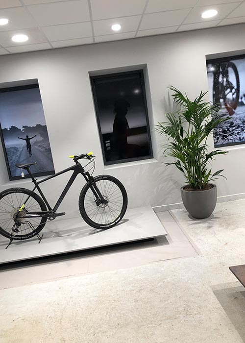 gallery grid image